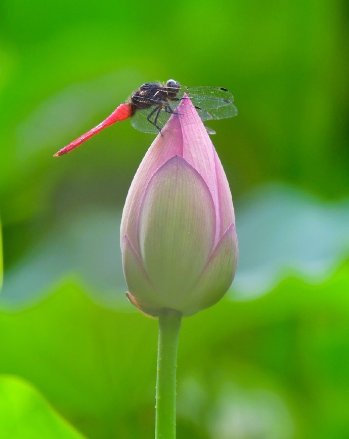 优化设计与营销内容的关键