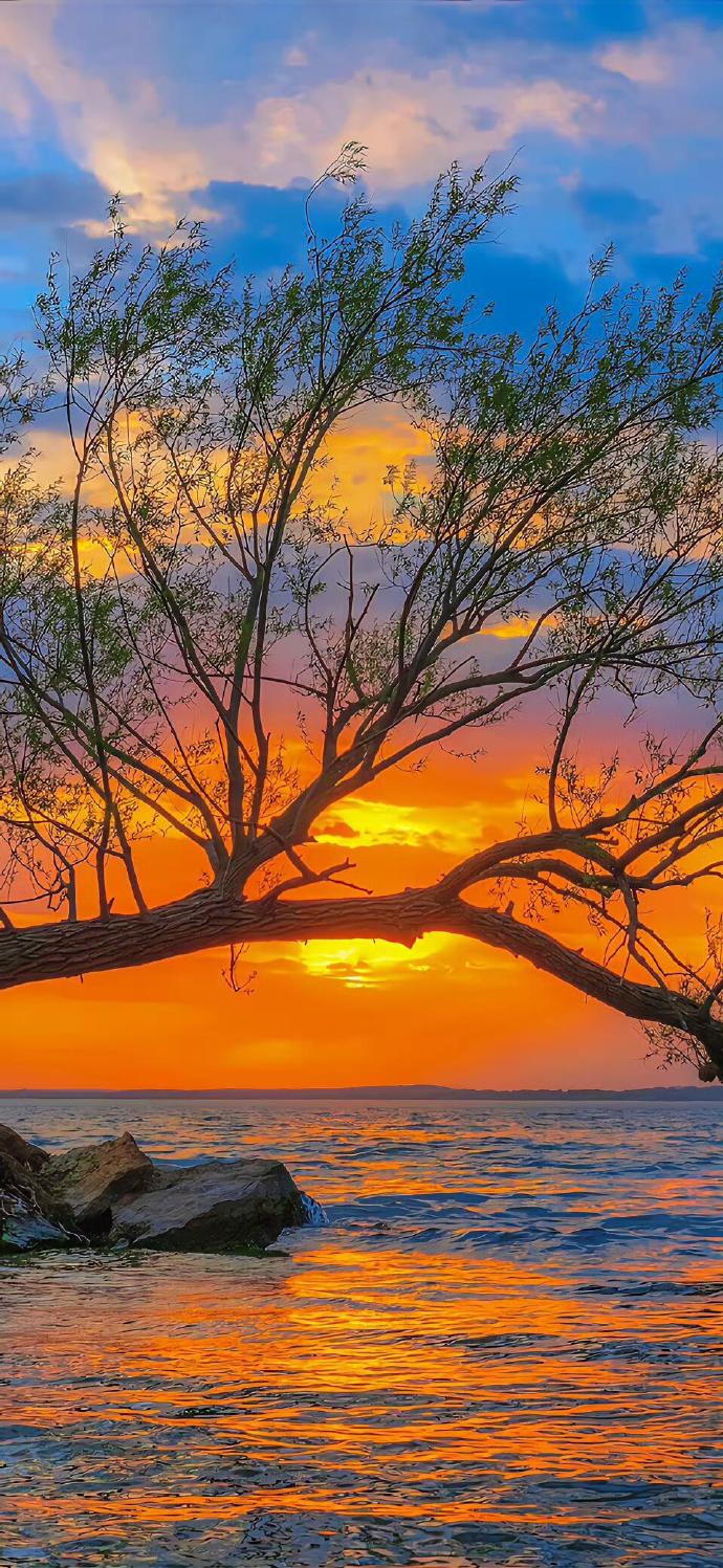 个性化定制让壁纸更独特